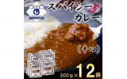 【ふるさと納税】スパイシーカレー辛口(レトルト)300g×12袋【1375357】