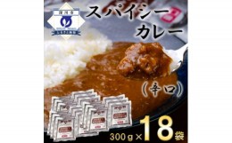 【ふるさと納税】スパイシーカレー辛口(レトルト)300g×18袋【1375362】