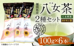 【ふるさと納税】福岡県産 八女茶 2種 6本 セット 八女 煎茶 カテキン 緑茶ポリフェノール 飲み比べ アソート 緑茶 国産