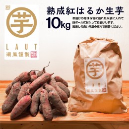 【ふるさと納税】【先行予約】干し芋屋のさつまいも 熟成 紅はるか 生芋 10kg 無添加 無着色 茨城県産 サツマイモ 土付き 芋 さつまいも 