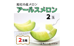 【ふるさと納税】「アールスメロン（2玉）」岡山県総社市産【2024年産先行予約】24-018-003