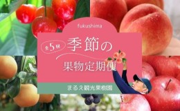 【ふるさと納税】No.2496 【2024年先行予約】まるえ観光果樹園　季節の果物定期便【全5回】