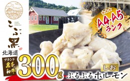 【ふるさと納税】北海道産 黒毛和牛 こぶ黒 和牛 しお ホルモン 300g 