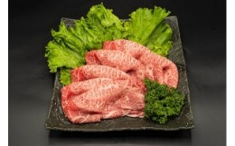 【ふるさと納税】熊本県産 A5等級 和王 うでスライス 400g 牛肉 ウデ肉