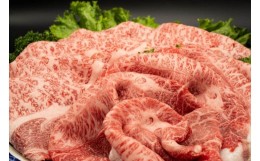 【ふるさと納税】熊本県産 A5等級 和王 肩ロース・うで スライス セット 合計約1kg 牛肉 肩ロース うで肉