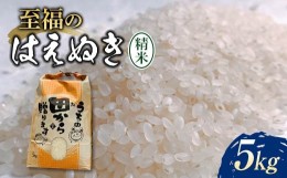 【ふるさと納税】令和6年 【先行予約】 至福のはえぬき（精米）5kg 米 お米 おこめ 山形県 新庄市 F3S-2048