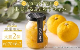 【ふるさと納税】果実まるごとゆずジャム 大瓶2本セット 約170ml×2（大瓶タイプ）国産 東洋町産 ゆず ユズ 柑橘 果物 フルーツ フルーツ