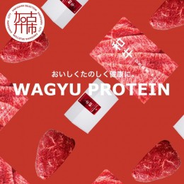 【ふるさと納税】WAGYU PROTEIN 定期便　4回分《 牛肉 お肉 肉 高タンパク 赤身肉 うちもも肉 ローストビーフ ステーキ おすすめ ギフト 