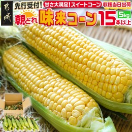 【ふるさと納税】朝どれ!!都城産スイートコーン(味来コーン)5kg 15本以上_AA-B401-6