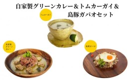 【ふるさと納税】自家製グリーンカレー＆トムカーガイ＆島豚ガパオセット - カレー グリーンカレー トムカーガイ ガパオ 島豚 鶏肉 生姜 