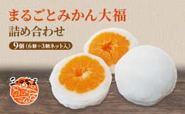 【ふるさと納税】大福 まるごと みかん大福 詰め合わせ セット 三ヶ日みかん みかん フルーツ大福 和菓子 お菓子 菓子 スイーツ おやつ 