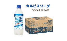 【ふるさと納税】カルピスソーダ（500mL×24本）013-005
