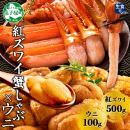 【ふるさと納税】2976. 紅ズワイ 蟹しゃぶ ビードロ 500g うに 100g 生食 紅ずわい ズワイガニ ずわいがに カニしゃぶ 蟹 カニ 雲丹 ウニ