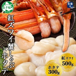 【ふるさと納税】2961. 紅ズワイ 蟹しゃぶ ビードロ 500g ホタテ 300g 生食 紅ずわい ズワイガニ ずわいがに カニしゃぶ 蟹 カニ ほたて 