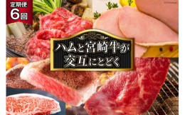 【ふるさと納税】【定期便・全６回】 牛肉 ハム 宮崎牛と宴の彩り ハム ギフト が交互に届く [日本ハムマーケティング 宮崎県 日向市 452