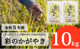 【ふるさと納税】【令和5年産】埼玉県産 彩のかがやき 10kg（5kg×2袋）【ブランド米 埼玉ブランド お米専用化粧箱  白米 国産 お米】