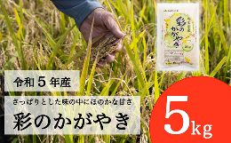 【ふるさと納税】【令和5年産】埼玉県産 彩のかがやき 5kg 【ブランド米 埼玉ブランド お米専用化粧箱  白米 国産 お米】