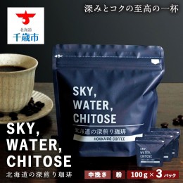 【ふるさと納税】SKY,WATER,CHITOSE 北海道の深煎り珈琲(100g)×3パック