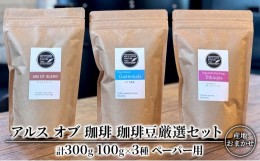 【ふるさと納税】珈琲豆 厳選 セット 100g×3種 ペーパー用 コーヒー 珈琲