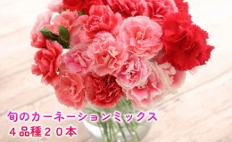 【ふるさと納税】＜選べる配送月＞ 北海道 カーネーション ミックス 4品種 20本以上 花 花束 切花 ブーケ 旬 季節 詰め合わせ 生花 フラ