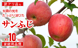 【ふるさと納税】【令和6年産先行予約】 〈訳あり品 家庭用〉 JA りんご 「サンふじ」 約10kg (28玉〜46玉) 《令和6年11月中旬〜12月中旬