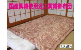 【ふるさと納税】国産真綿100％使用近江真綿布団　近江真綿掛け布団　1.0kg　シングル【赤色】