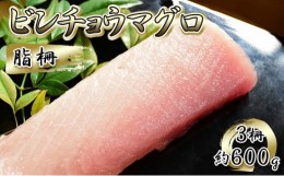 【ふるさと納税】[?5695-1307]ビンチョウマグロ 脂柵 3柵（約600g）【配送不可：離島】