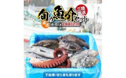 【ふるさと納税】【下処理しない】【厳選】三陸海の恵み詰め合わせ【12ヶ月定期便】 (1回あたりのお届け目安：5人用) 【 無添加 鮮魚 三