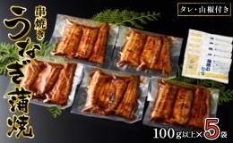 【ふるさと納税】〈丸半堀江商店〉浜名湖産 串焼きうなぎ蒲焼 5袋（100g以上×5袋・タレ・山椒付き）【配送不可：離島】 国産 真空パック