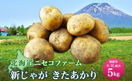【ふるさと納税】北海道産 じゃがいも きたあかり 5kg 規格外 訳あり S-3L サイズ混合 新じゃが 芋 ジャガイモ いも 野菜 農作物 お取り
