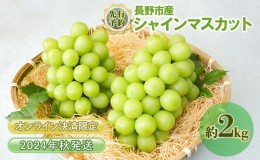 【ふるさと納税】ぶどう 先行予約 長野市産 シャインマスカット 2kg 葡萄 ブドウ フルーツ 果物 シャイン マスカット デザート おやつ 信