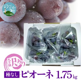 【ふるさと納税】訳あり ピオーネ 1.75kg N053-ZA0251