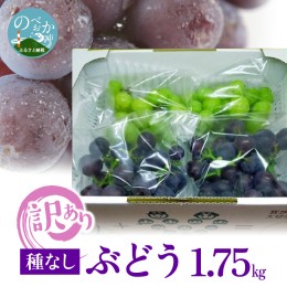 【ふるさと納税】訳あり ぶどう 1.75kg N053-ZA0252