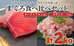 【ふるさと納税】まぐろ 食べ比べ (赤身 ネギトロ) 小分け 真空パック 冷凍 マグロ 鮪 マグロのたたき TY030