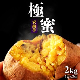 【ふるさと納税】極蜜安納芋の焼き芋【1kg×2袋】