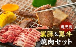 【ふるさと納税】鹿児島黒豚・黒牛焼肉セット