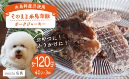 【ふるさと納税】【糸島特産品使用】 無添加 そのまま 糸島華豚 3袋  糸島市 / 株式会社コバヤシ【coco.kina】 犬 おやつ ドッグフード 