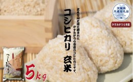 【ふるさと納税】コシヒカリ　玄米5kg（茨城県共通返礼品・かすみがうら市産）