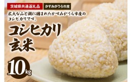 【ふるさと納税】コシヒカリ　玄米10kg（茨城県共通返礼品・かすみがうら市産）