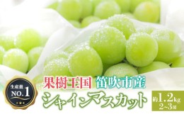 【ふるさと納税】＜2024年先行予約＞人気 シャインマスカット 約1.2kg 2〜3房 ※沖縄県及び離島への配送はできませんので予めご了承くだ