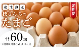 【ふるさと納税】 【3ヶ月定期便】枝さんち の たまご 20個×3回 合計60個 定期便 産地直送 たまご 玉子 生卵 鶏卵 タマゴ 平飼い 桜川市