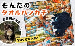 【ふるさと納税】【 SNSで人気の猫 / 糸島観光大使】【 もんた 】 タオル ハンカチ 糸島市 / Basismall はんかち 今治 タオル [AXL005]