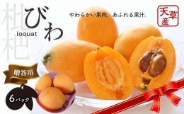 【ふるさと納税】天草産 びわ 約 2.4kg （約400g×6パック） 贈答用 フルーツ 果物 枇杷