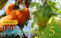 【ふるさと納税】【令和6年産先行予約】庄内柿＆ラ・フランス 2Ｌ〜3Ｌ玉 約5kg 山形県鶴岡市産　佐藤農園