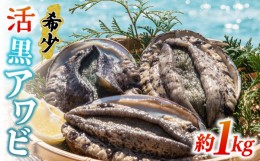 【ふるさと納税】活アワビ 約1kg（黒アワビ）《壱岐市》【丸和水産】[JCJ006] 鮑 アワビ あわび 黒鮑 黒アワビ 黒あわび 貝 魚貝 海鮮 刺