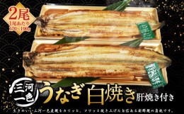 【ふるさと納税】三河一色うなぎ白焼き2尾 (各170〜190g) (肝焼き付き) うなぎ 白焼き