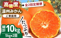 【ふるさと納税】【2024年12月〜発送】【大満足！ 2回 定期便 】温州みかん 約5kg / みかん ミカン 蜜柑 柑橘 温州みかん フルーツ / 南