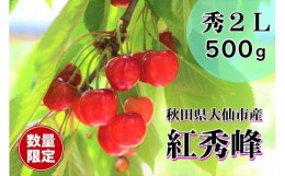 【ふるさと納税】「さくらんぼ（紅秀峰）２Ｌサイズ約500g」重郎左衛門農園　※九州、沖縄、一部離島への配送不可