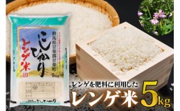 【ふるさと納税】レンゲ米5kg×1袋｜コシヒカリ 精米 白米 お米 ごはん 甘楽町産 令和5年度米 [0141]