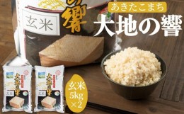 【ふるさと納税】【ふるさと納税】令和５年産 「特別栽培米あきたこまち　大地の響　玄米１０kg」秋山商店